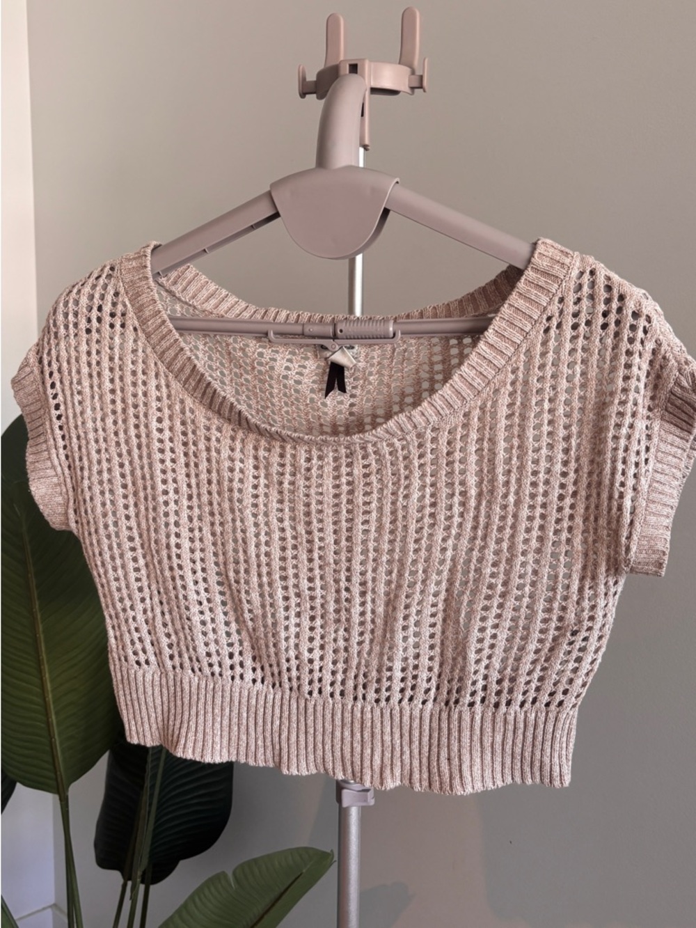 Dynamite Blush Open-Knit Short Sleeve Crop Top